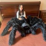 Gigantic Tarantula Spider Plush Pillow