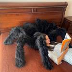 Gigantic Tarantula Spider Plush Pillow