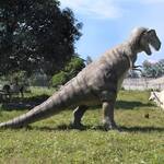 Gigantic Tyrannosaurus Rex Dinosaur Statue