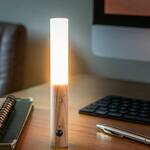 Gingko Smart Baton Light - Magnetic Portable Nightlight