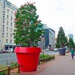 GIO MONSTER - This Gigantic Flower Pot Stands Over 6 Feet Tall!