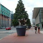 GIO MONSTER - This Gigantic Flower Pot Stands Over 6 Feet Tall!
