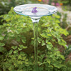 Glass Bird Bath - Welcomes Birds and Butterflies