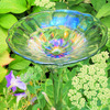 Glass Bird Bath - Welcomes Birds and Butterflies