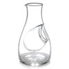 Glass Carafe With Ice Compartment