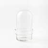 Glass Cloche Terrariums