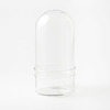 Glass Cloche Terrariums