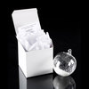 Glass Snow Globe Holiday Ornaments