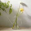 Glass Watering Can