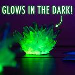 Glow-In-The-Dark Crystal Growing Kit