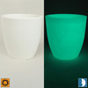 Glow in the Dark Planters