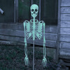 Glow-in-the-Dark Skeleton Yard Stake