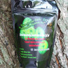 Glow-in-the-Dark Mushrooms Growing Kit
