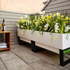 Glowpear Urban Garden Self-Watering Planter