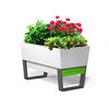 Glowpear Urban Garden Self-Watering Planter