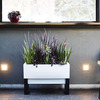 Glowpear Urban Garden Self-Watering Planter