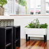 Glowpear Urban Garden Self-Watering Planter