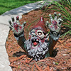 Gnombie - Undead Zombie Garden Gnome