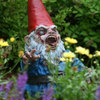 Gnombie - Zombie Garden Gnome