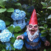 Gnombie - Zombie Garden Gnome