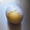 Golden Goose In-Egg Scrambler