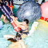 Googly-Eyed Rock Pool Float