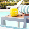 Goverre Portable Stemless Wine Glass