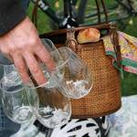 Govino Go Anywhere Wine Glasses - Flexible, Shatterproof, and Reusable