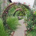 Gracie Modern Arbor - Giant Moon Gate Garden Arch Trellis