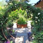 Gracie Modern Arbor - Giant Moon Gate Garden Arch Trellis