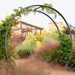 Gracie Modern Arbor - Giant Moon Gate Garden Arch Trellis