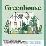 Greenhouse Scented Candle - Herbaceous Plants, Rich Soil, and Humidity