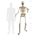 Grim - 6 Ft Animatronic Talking Skeleton
