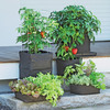 Grow Bags - Tomatoes, Peppers, Herbs and Potatoes