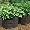 Grow Bags - Tomatoes, Peppers, Herbs and Potatoes
