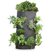 Grow Bags - Tomatoes, Peppers, Herbs and Potatoes