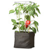 Grow Bags - Tomatoes, Peppers, Herbs and Potatoes