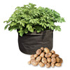 Grow Bags - Tomatoes, Peppers, Herbs and Potatoes