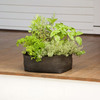 Grow Bags - Tomatoes, Peppers, Herbs and Potatoes