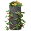 Grow Bags - Tomatoes, Peppers, Herbs and Potatoes