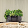 Grow Bags - Tomatoes, Peppers, Herbs and Potatoes