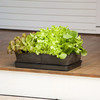 Grow Bags - Tomatoes, Peppers, Herbs and Potatoes