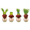Grow A Head - Not Exactly The Green Head, But Still Cool