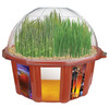 Grow Your Own Beer Garden