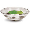 Lily Pad Kit - Grow Your Own Giant Lily Pads