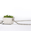 Growing Necklace