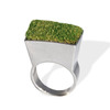 Growing Ring