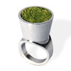 Growing Ring