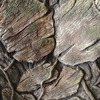 Guardians of the Galaxy Full Groot Suit Cosplay Costume