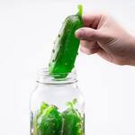 Gummy Dill Pickle